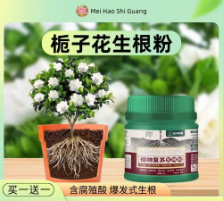 家庭养花用生根粉