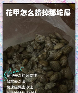 海里如何养花甲