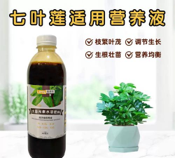 家庭养花用生根粉