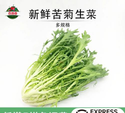 生菜切掉的根多久生芽