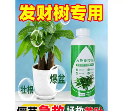 家庭养花用生根粉