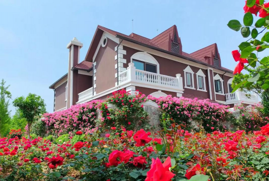 独栋可以养花吗