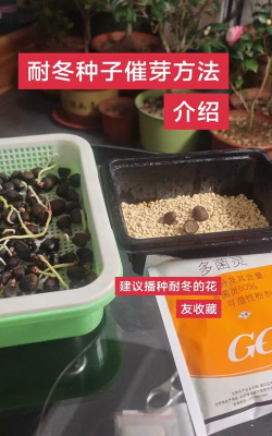 家庭养花用生根粉