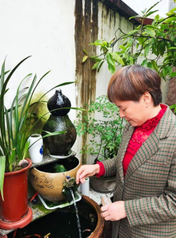 家庭养花用生根粉