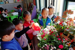 家庭养花用生根粉