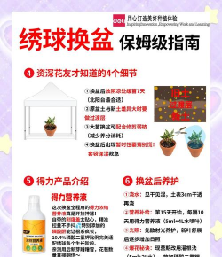 家庭养花用生根粉