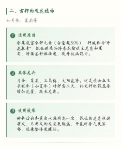 家庭养花用生根粉