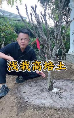 家庭养花用生根粉