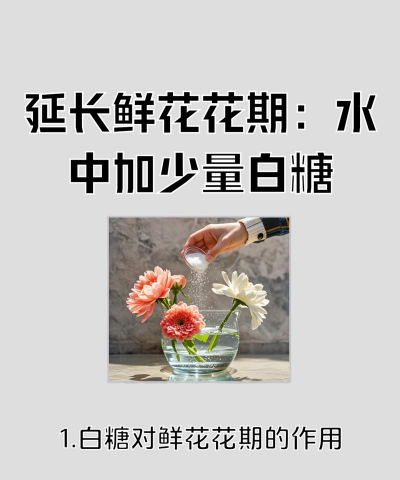 白糖能延长多久的花期