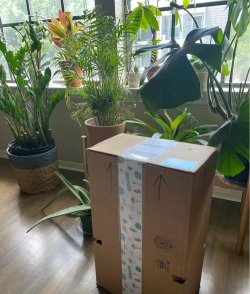 家庭养花用生根粉