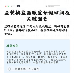 家庭养花用生根粉