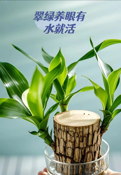 葡萄栽培，掌握关键技术，实现优质丰产