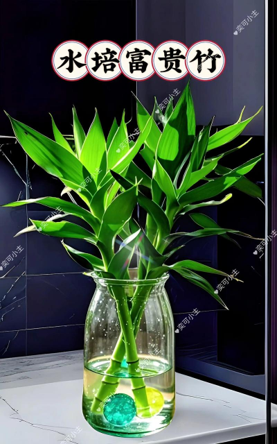 柿树虫病防治，识别常见虫害，掌握有效方法