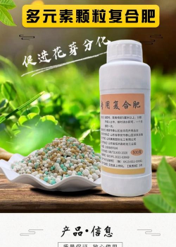 玫瑰花怎么养才不会枯萎，掌握浇水施肥技巧，轻松延长花期