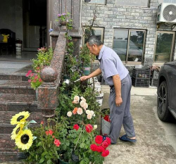 栀子花怎么养，掌握浇水技巧，避免黄叶掉苞