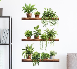 栀子花怎么养，掌握浇水技巧，避免黄叶掉苞