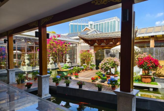 家庭养花用生根粉