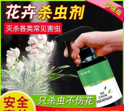 家庭养花用生根粉