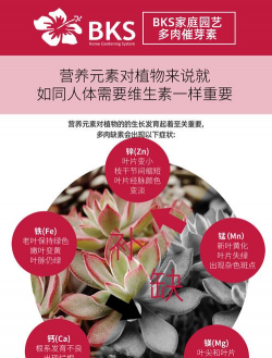 家庭养花用生根粉