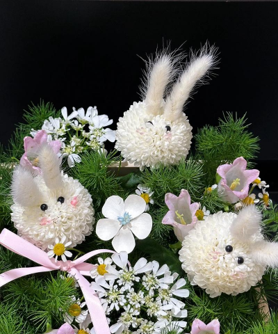 兔子盆养花搭配