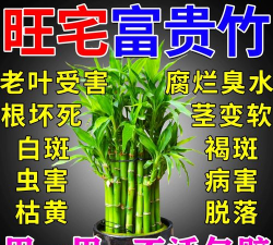 家庭养花用生根粉