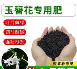 玉簪用什么肥料