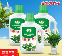 家庭养花用生根粉