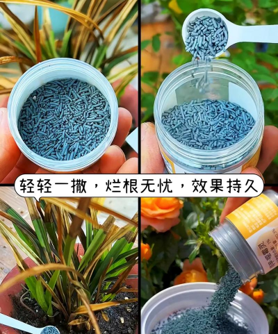 家庭养花用生根粉