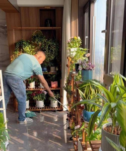 家庭养花用生根粉