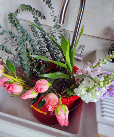 家庭养花用生根粉