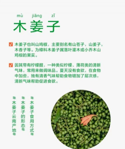 什么是木姜和子姜