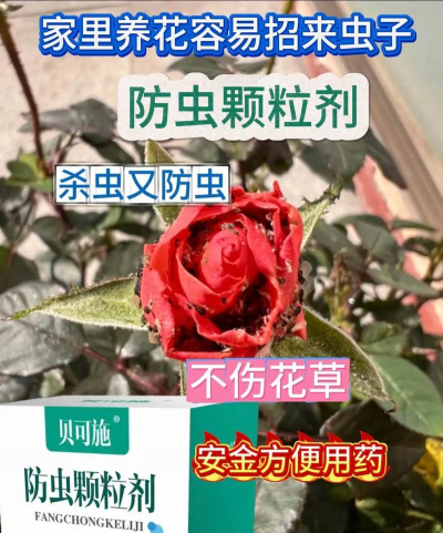 家庭养花用生根粉