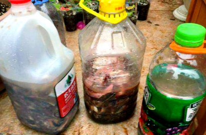 家庭养花用生根粉