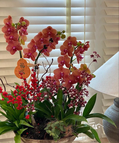 家庭养花用生根粉