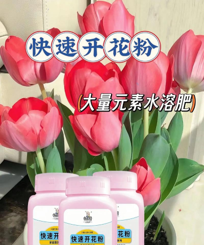 家庭养花用生根粉