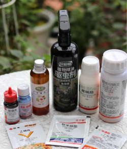 家庭养花用生根粉