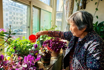 家庭养花用生根粉