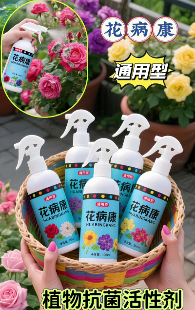 家庭养花用生根粉