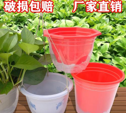 小号塑料养花盆