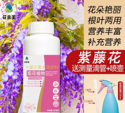 家庭养花用生根粉