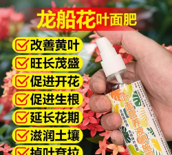 家庭养花用生根粉