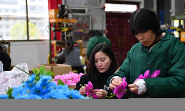 阳春招工养花工