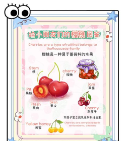 樱桃在什么时候的英文