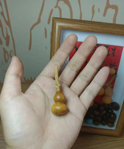 养鱼养花玩葫芦