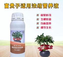 家庭养花用生根粉