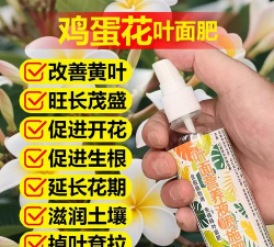 家庭养花用生根粉