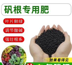 矾根用什么肥料长得快