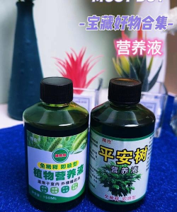 家庭养花用生根粉