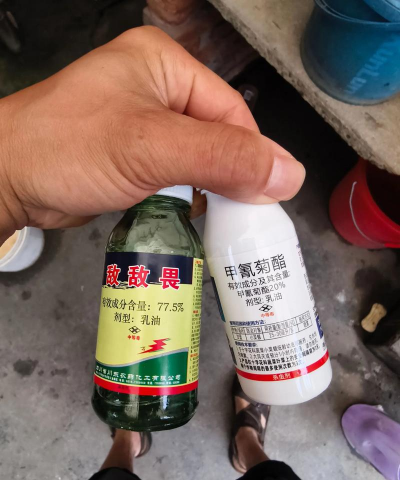 家庭养花用生根粉