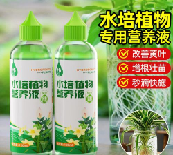 家庭养花用生根粉